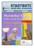 PDF Icon